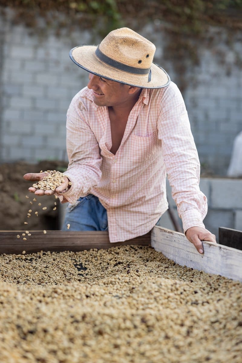 documentary photography of a teacher in Guatemala as he lets coffee beans fall from his hands.